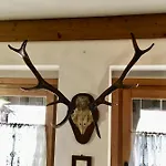 Ciaseles A Due Passi Da Cortina D'ampezzo Apartment San Vito di Cadore