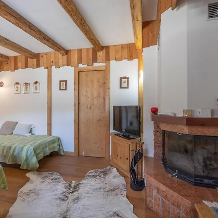 Ciaseles A Due Passi Da Cortina D'ampezzo Appartement San Vito di Cadore