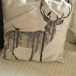 Ciaseles A Due Passi Da Cortina D'ampezzo