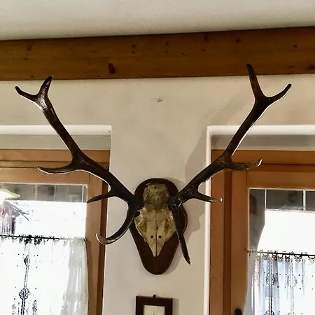 Ciaseles A Due Passi Da Cortina D'ampezzo Apartment San Vito di Cadore